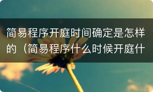 简易程序开庭时间确定是怎样的（简易程序什么时候开庭什么时候不开庭）
