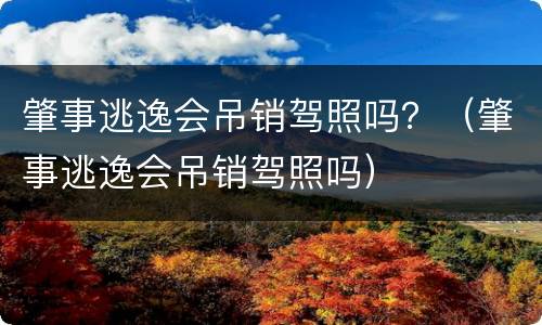 肇事逃逸会吊销驾照吗？（肇事逃逸会吊销驾照吗）