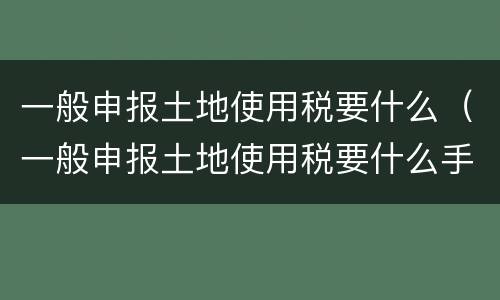 一般申报土地使用税要什么（一般申报土地使用税要什么手续）