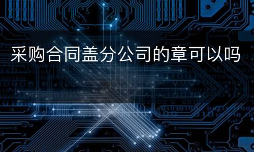采购合同盖分公司的章可以吗