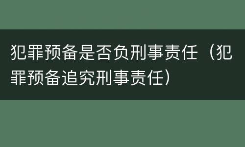 犯罪预备是否负刑事责任（犯罪预备追究刑事责任）