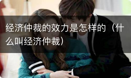 经济仲裁的效力是怎样的（什么叫经济仲裁）