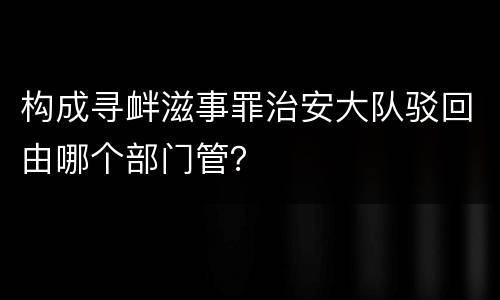 构成寻衅滋事罪治安大队驳回由哪个部门管？