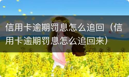 信用卡逾期罚息怎么追回（信用卡逾期罚息怎么追回来）