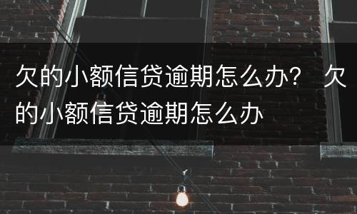 欠的小额信贷逾期怎么办？ 欠的小额信贷逾期怎么办
