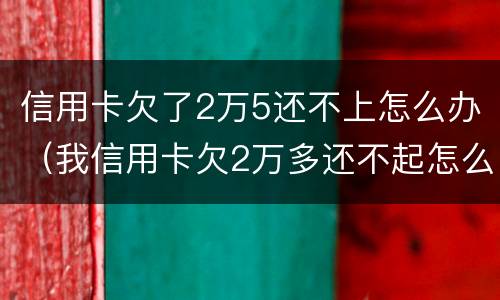 信用卡欠了2万5还不上怎么办（我信用卡欠2万多还不起怎么办）