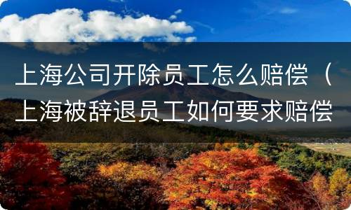 上海公司开除员工怎么赔偿（上海被辞退员工如何要求赔偿）