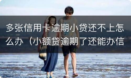 多张信用卡逾期小贷还不上怎么办（小额贷逾期了还能办信用卡吗）
