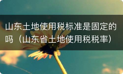 山东土地使用税标准是固定的吗（山东省土地使用税税率）