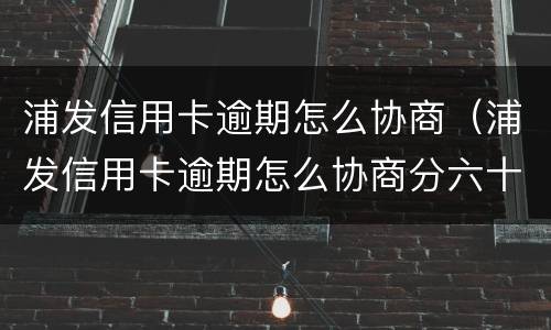 浦发信用卡逾期怎么协商（浦发信用卡逾期怎么协商分六十期）
