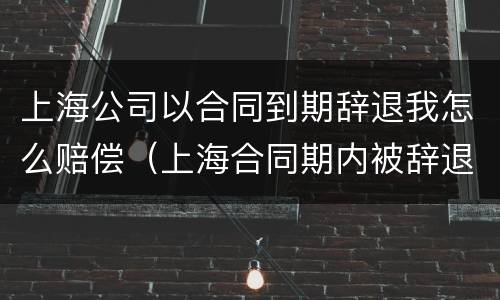 上海公司以合同到期辞退我怎么赔偿（上海合同期内被辞退赔偿工资标准）