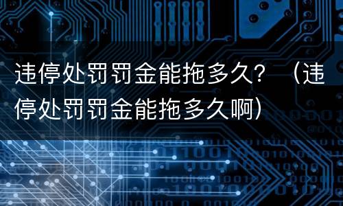 违停处罚罚金能拖多久？（违停处罚罚金能拖多久啊）