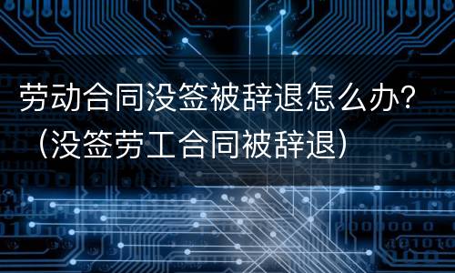劳动合同没签被辞退怎么办？（没签劳工合同被辞退）
