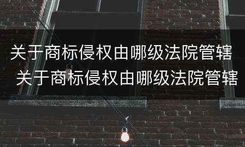 关于商标侵权由哪级法院管辖 关于商标侵权由哪级法院管辖的规定