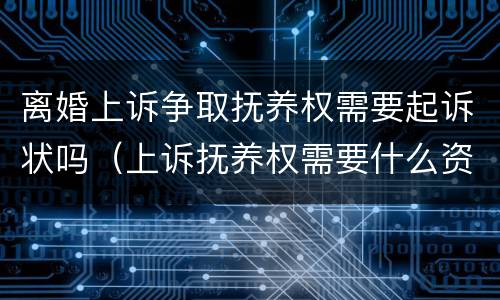 离婚上诉争取抚养权需要起诉状吗（上诉抚养权需要什么资料）