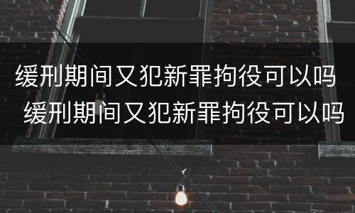 缓刑期间又犯新罪拘役可以吗 缓刑期间又犯新罪拘役可以吗怎么办