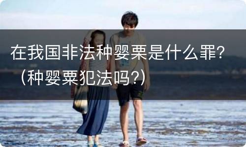 在我国非法种婴栗是什么罪？（种婴粟犯法吗?）
