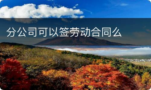分公司可以签劳动合同么