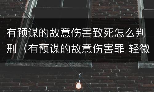 有预谋的故意伤害致死怎么判刑（有预谋的故意伤害罪 轻微伤）