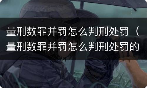 量刑数罪并罚怎么判刑处罚（量刑数罪并罚怎么判刑处罚的）
