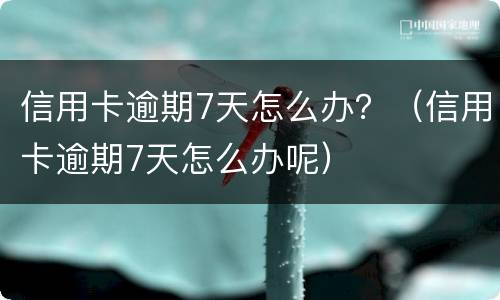 信用卡逾期7天怎么办？（信用卡逾期7天怎么办呢）