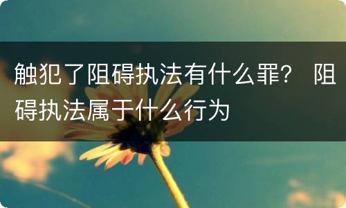 触犯了阻碍执法有什么罪？ 阻碍执法属于什么行为