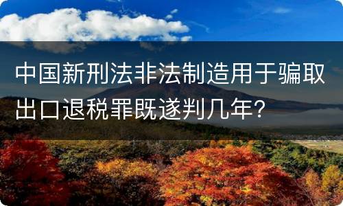 中国新刑法非法制造用于骗取出口退税罪既遂判几年？