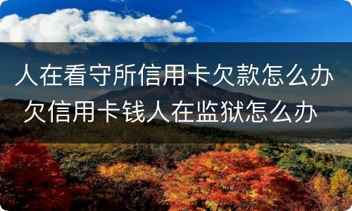 人在看守所信用卡欠款怎么办 欠信用卡钱人在监狱怎么办
