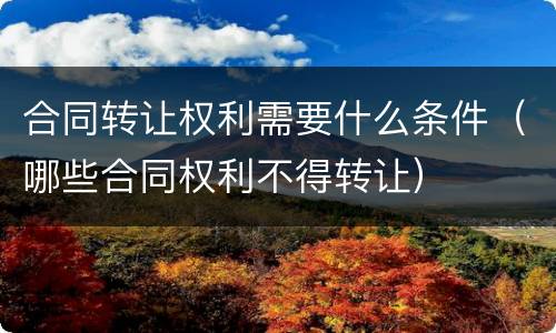 合同转让权利需要什么条件（哪些合同权利不得转让）