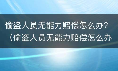 偷盗人员无能力赔偿怎么办？（偷盗人员无能力赔偿怎么办）