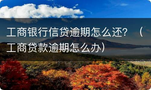 工商银行信贷逾期怎么还？（工商贷款逾期怎么办）