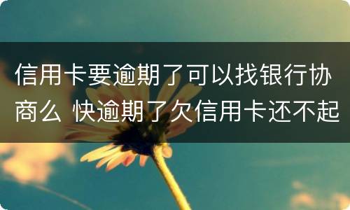 信用卡要逾期了可以找银行协商么 快逾期了欠信用卡还不起跟银行能有协商的可能性吗