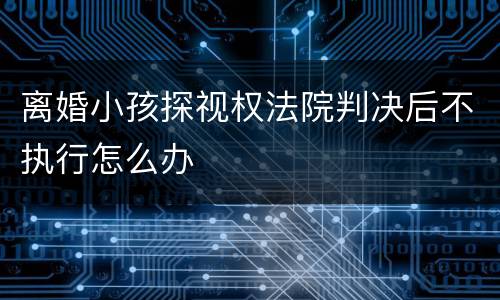 离婚小孩探视权法院判决后不执行怎么办