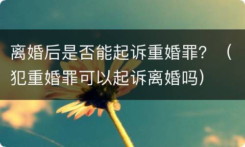 离婚后是否能起诉重婚罪？（犯重婚罪可以起诉离婚吗）