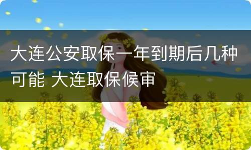 大连公安取保一年到期后几种可能 大连取保候审