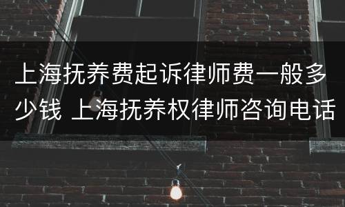 上海抚养费起诉律师费一般多少钱 上海抚养权律师咨询电话