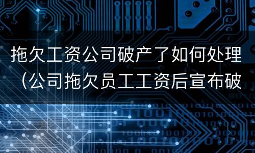 拖欠工资公司破产了如何处理（公司拖欠员工工资后宣布破产）