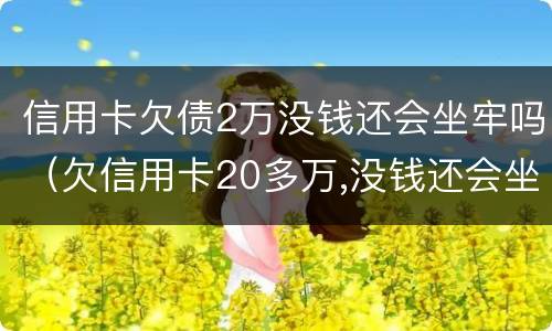 信用卡欠债2万没钱还会坐牢吗（欠信用卡20多万,没钱还会坐牢吗）