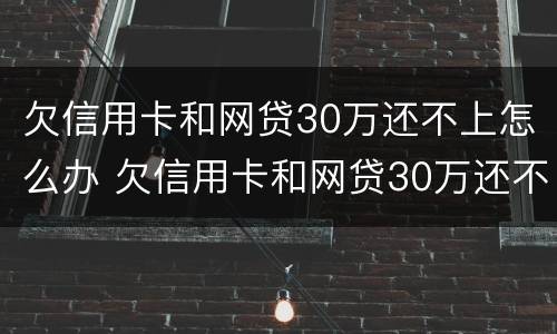 欠信用卡和网贷30万还不上怎么办 欠信用卡和网贷30万还不上怎么办呀