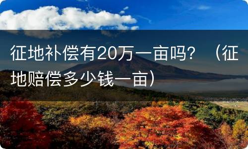 征地补偿有20万一亩吗？（征地赔偿多少钱一亩）