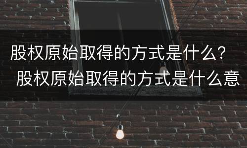 股权原始取得的方式是什么？ 股权原始取得的方式是什么意思