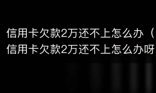 信用卡欠款2万还不上怎么办（信用卡欠款2万还不上怎么办呀）