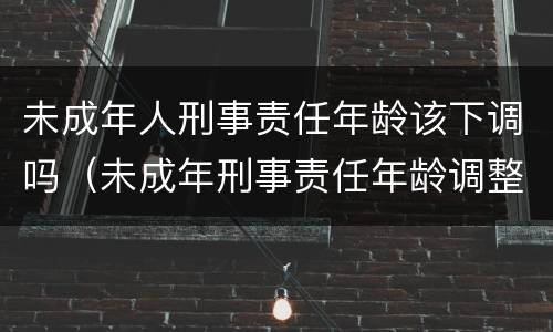 未成年人刑事责任年龄该下调吗（未成年刑事责任年龄调整）