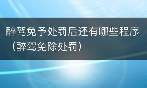 醉驾免予处罚后还有哪些程序（醉驾免除处罚）