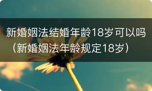 新婚姻法结婚年龄18岁可以吗（新婚姻法年龄规定18岁）