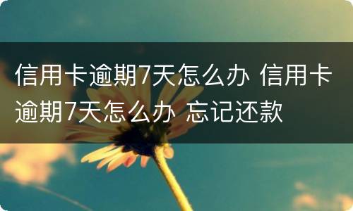 信用卡逾期7天怎么办 信用卡逾期7天怎么办 忘记还款