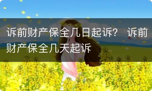 诉前财产保全几日起诉？ 诉前财产保全几天起诉