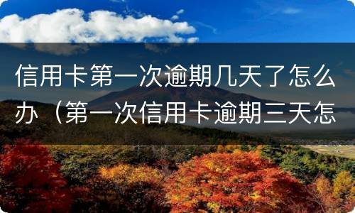 信用卡第一次逾期几天了怎么办（第一次信用卡逾期三天怎么办）