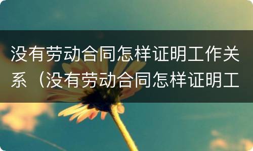 没有劳动合同怎样证明工作关系（没有劳动合同怎样证明工作关系好）