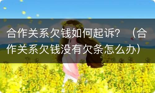 合作关系欠钱如何起诉？（合作关系欠钱没有欠条怎么办）